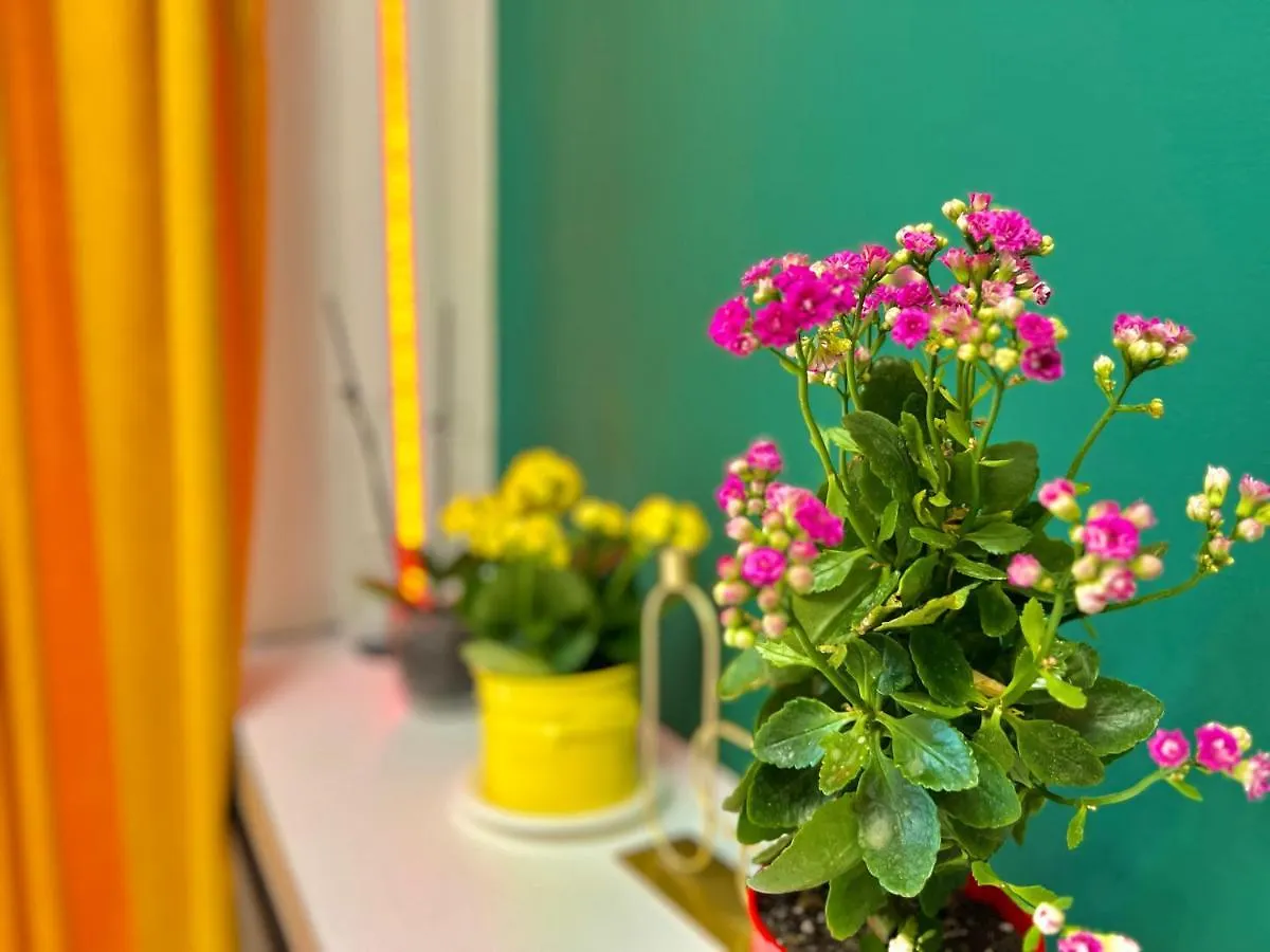 Ortachala Romantic Apartments Тбилиси Грузия
